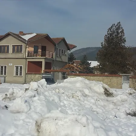 садина *